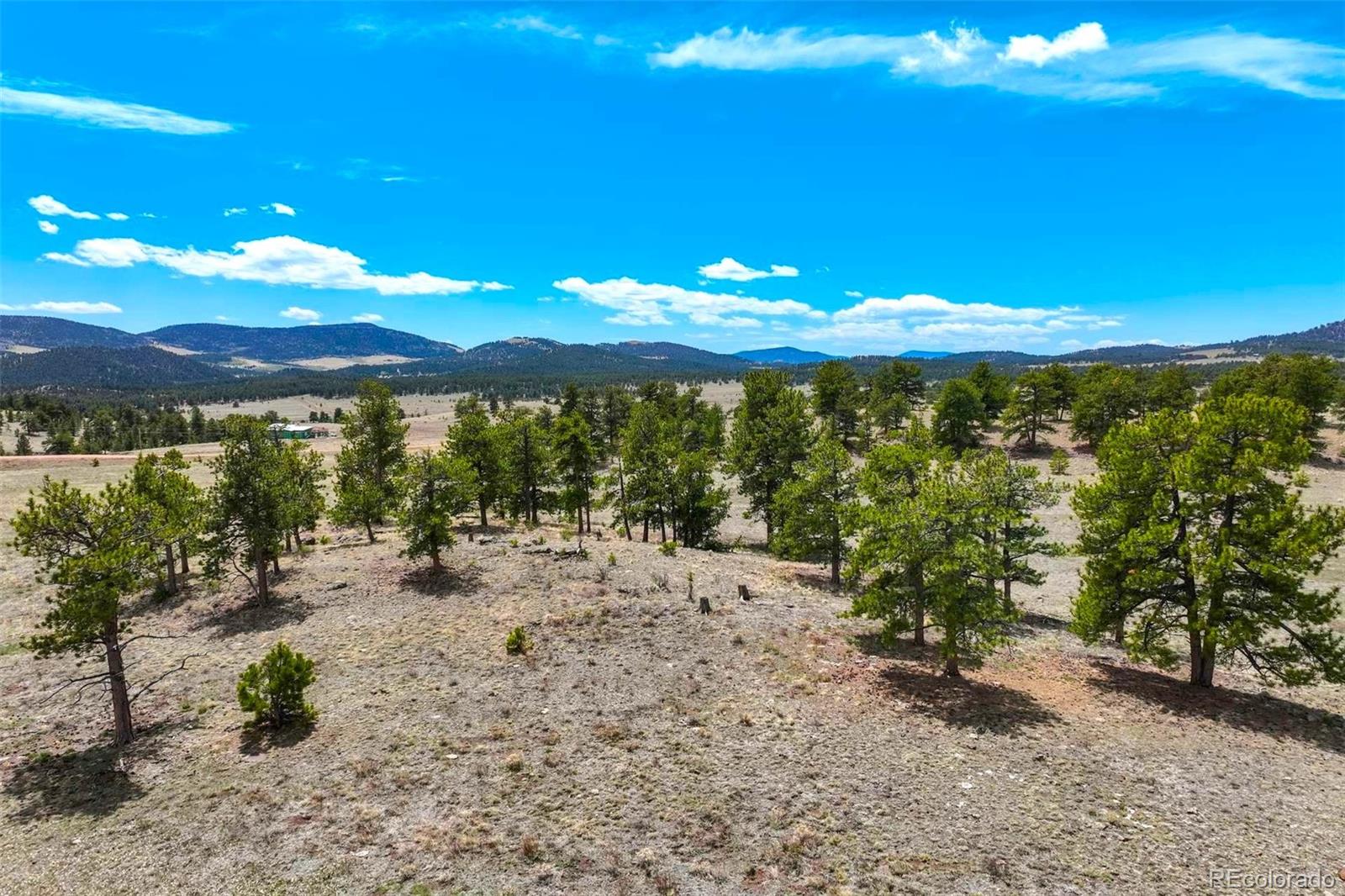 129 Eagle Nest Trail Guffey CO 80820