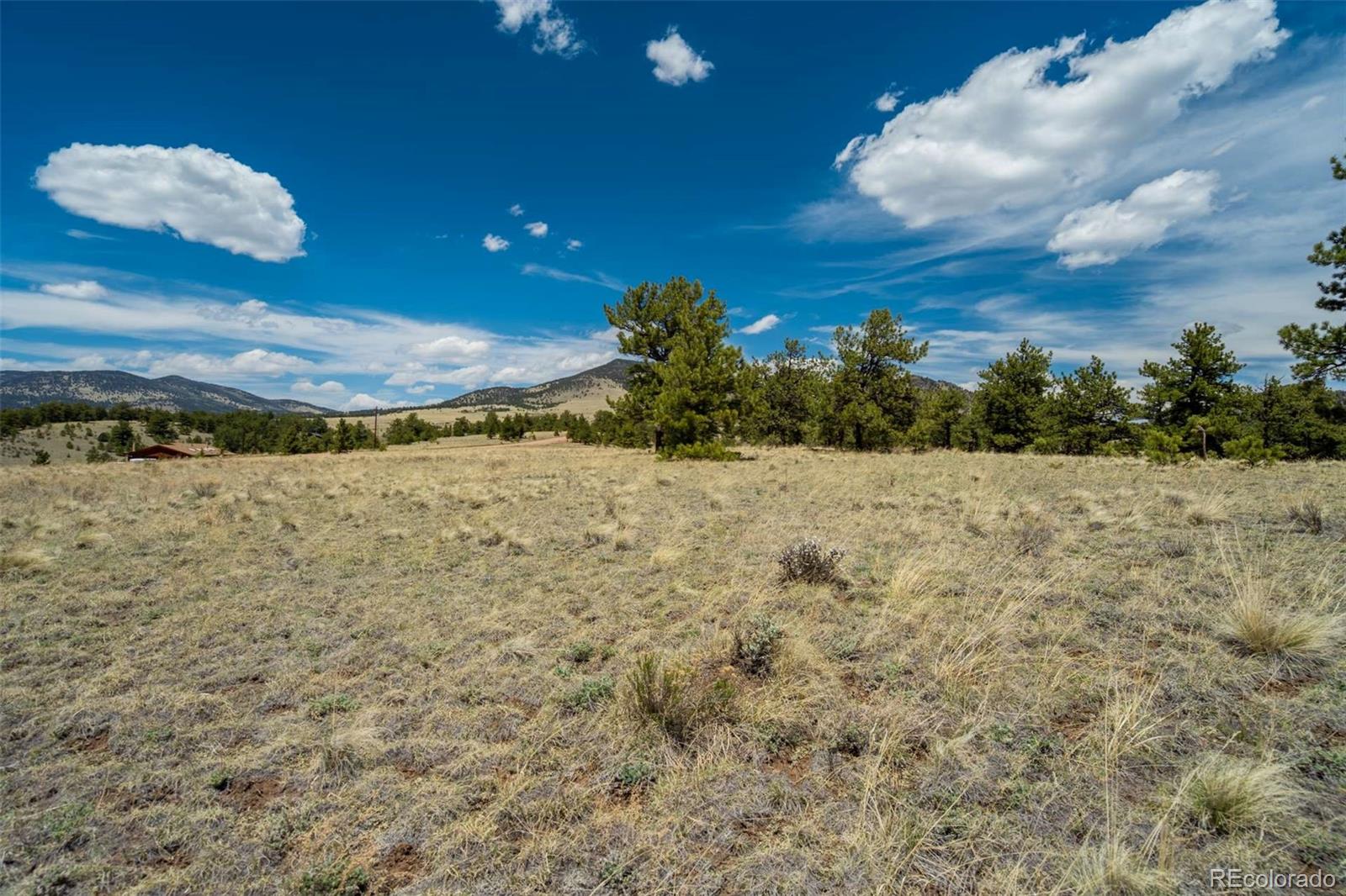 129 Eagle Nest Trail Guffey CO 80820