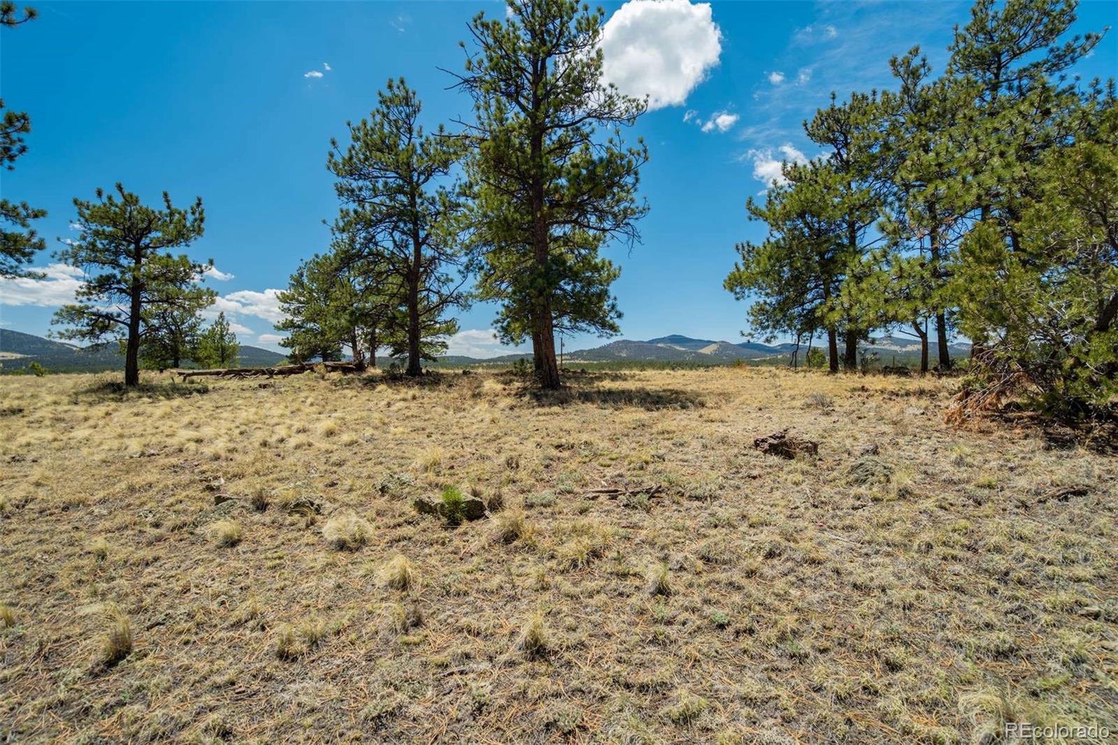 129 Eagle Nest Trail Guffey CO 80820