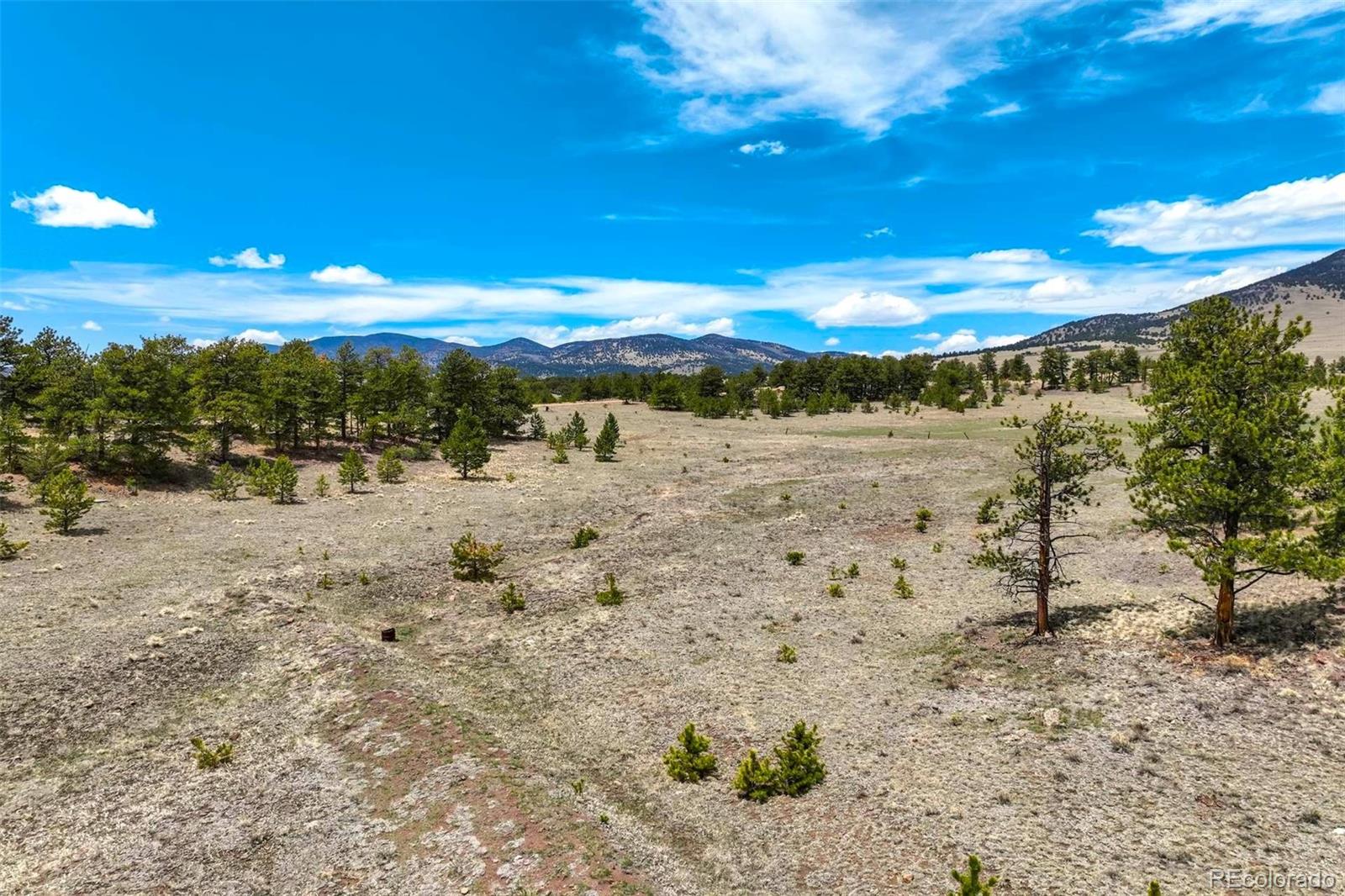 129 Eagle Nest Trail Guffey CO 80820