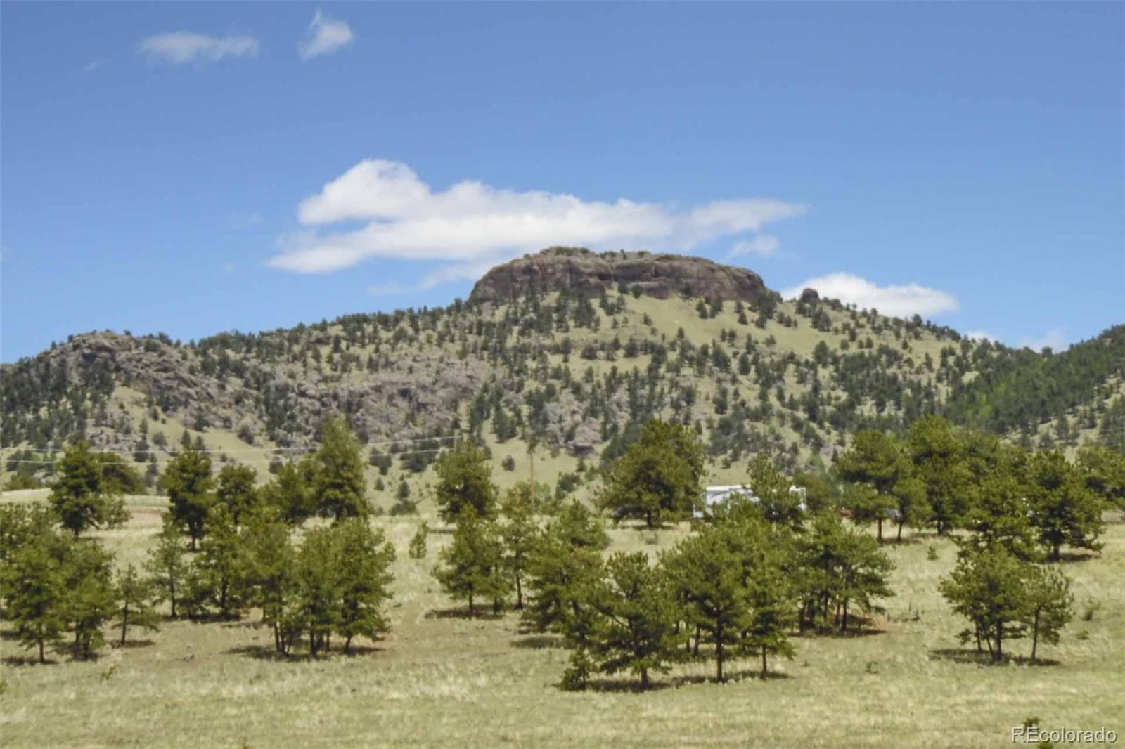 129 Eagle Nest Trail Guffey CO 80820