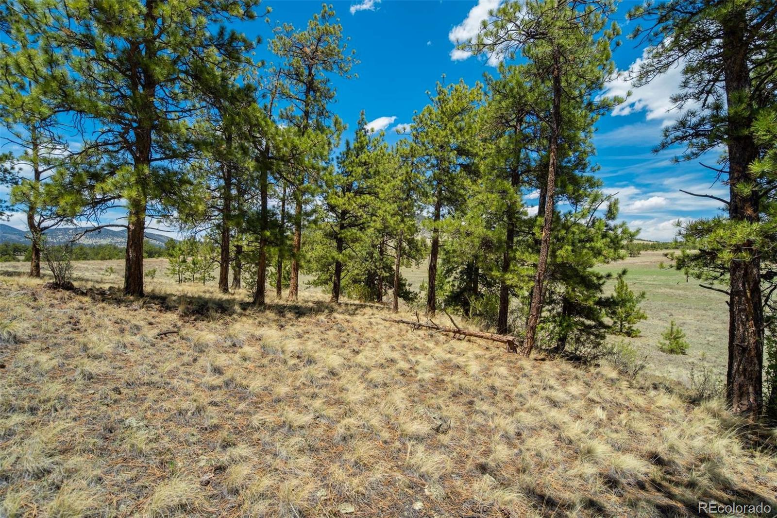 129 Eagle Nest Trail Guffey CO 80820