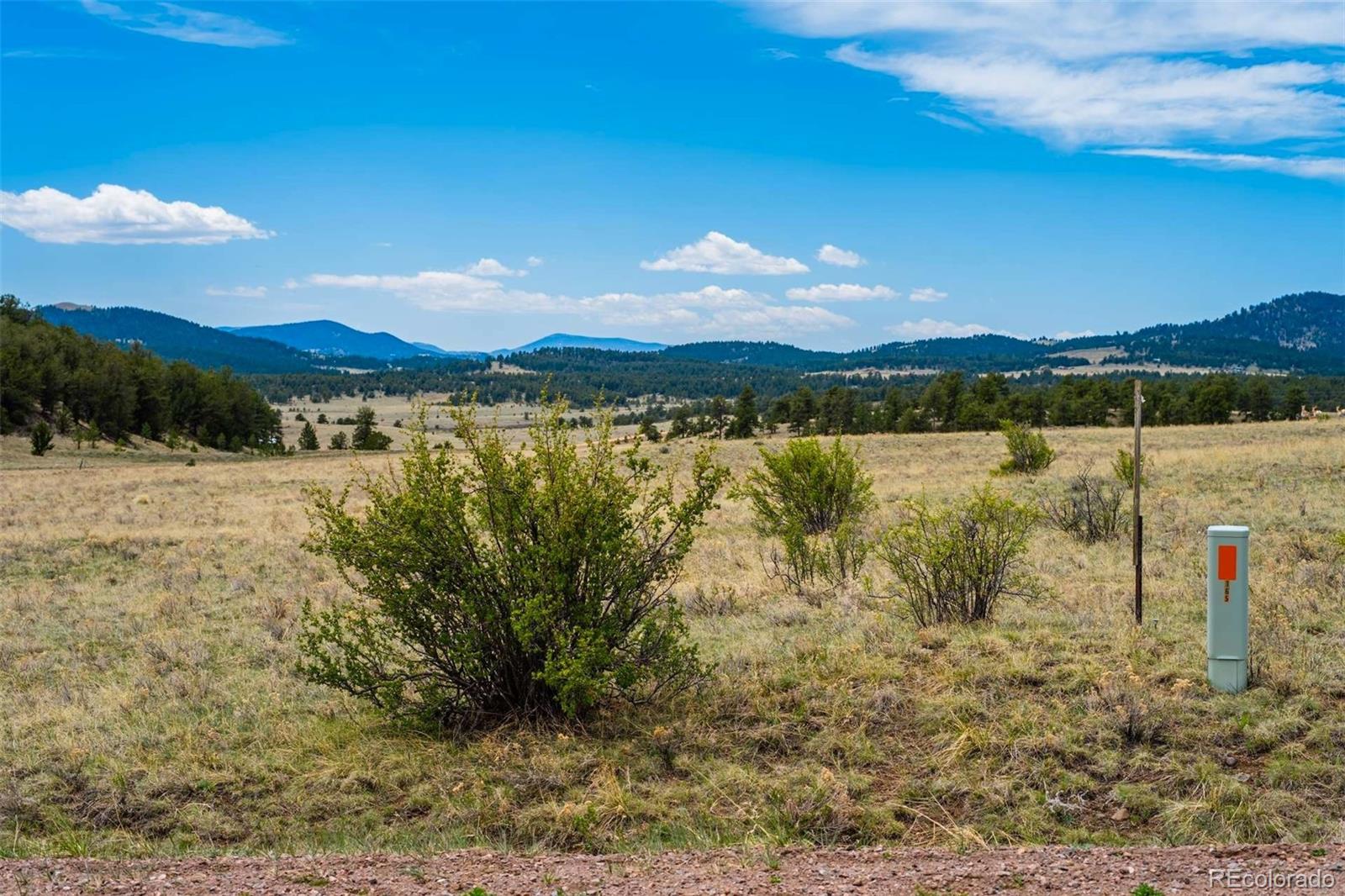 129 Eagle Nest Trail Guffey CO 80820