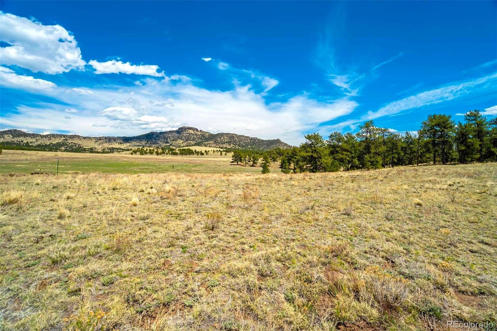 129 Eagle Nest Trail Guffey CO 80820