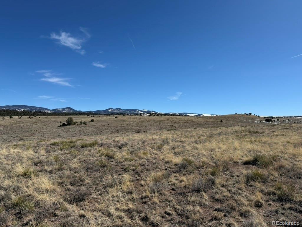 228 Navajo Path Westcliffe CO 81252