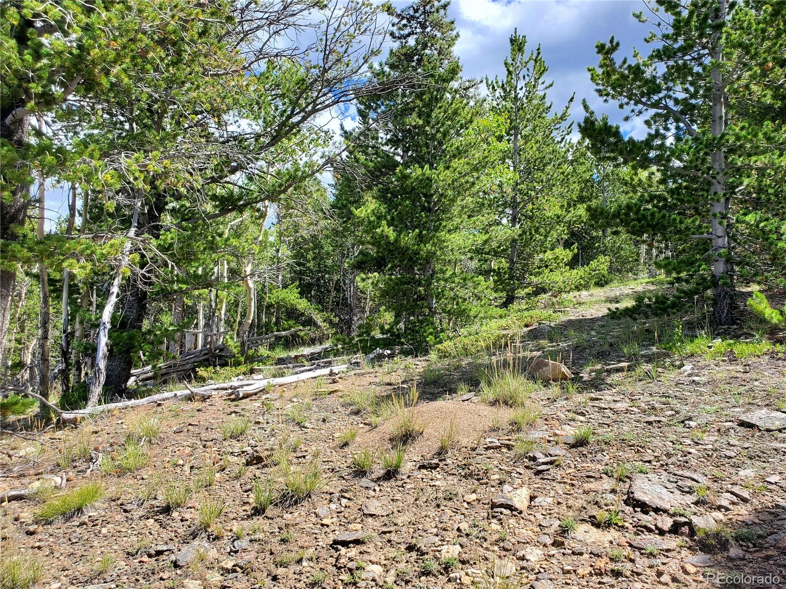 01 S Spring Gulch Road Idaho Springs CO 80452