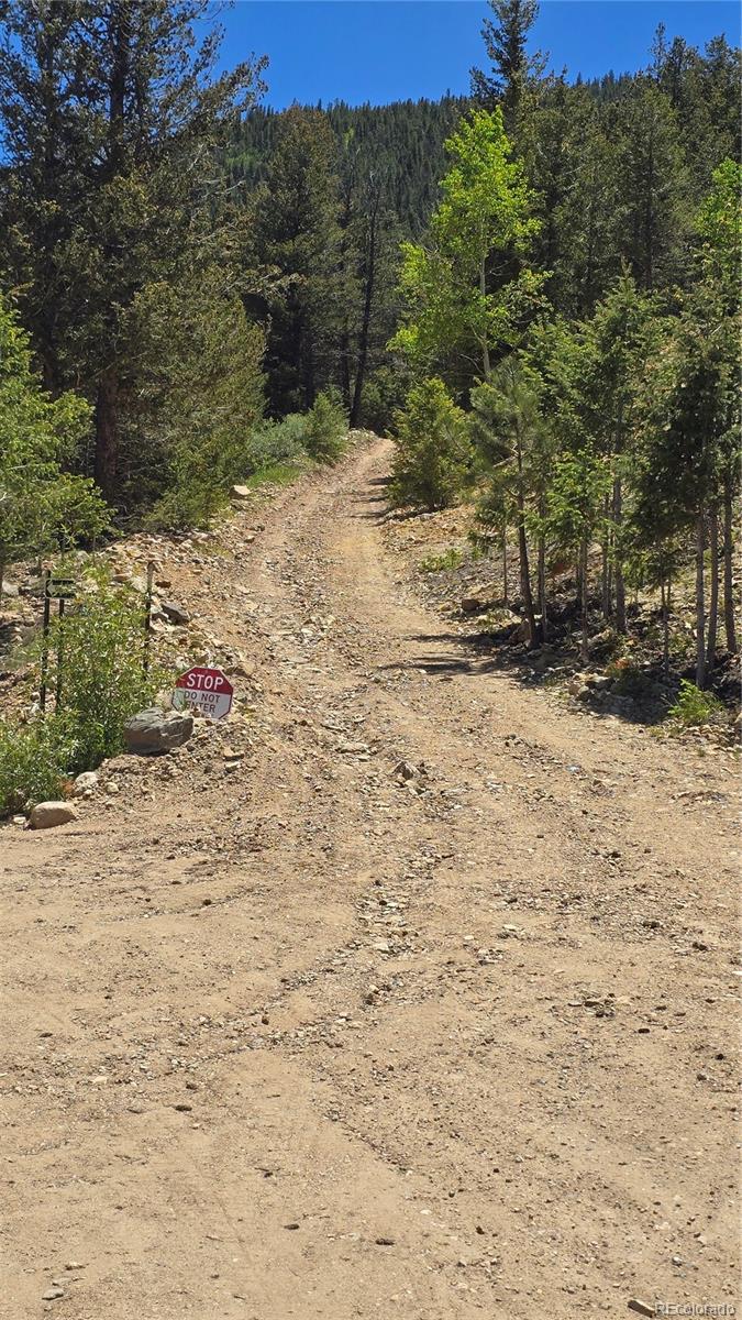 01 S Spring Gulch Road Idaho Springs CO 80452