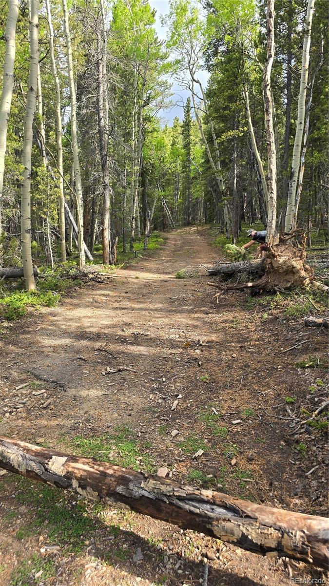 01 S Spring Gulch Road Idaho Springs CO 80452