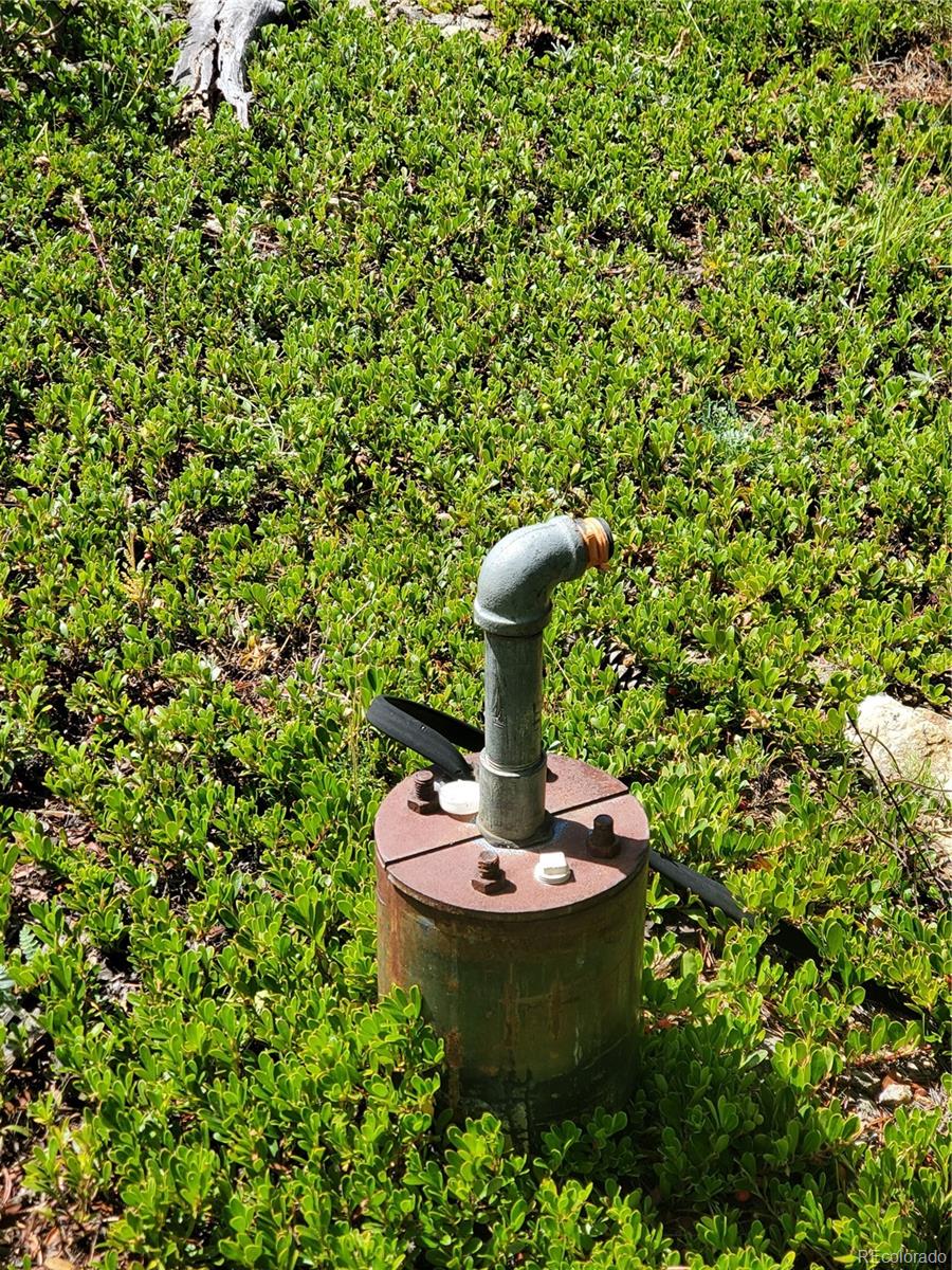 01 S Spring Gulch Road Idaho Springs CO 80452