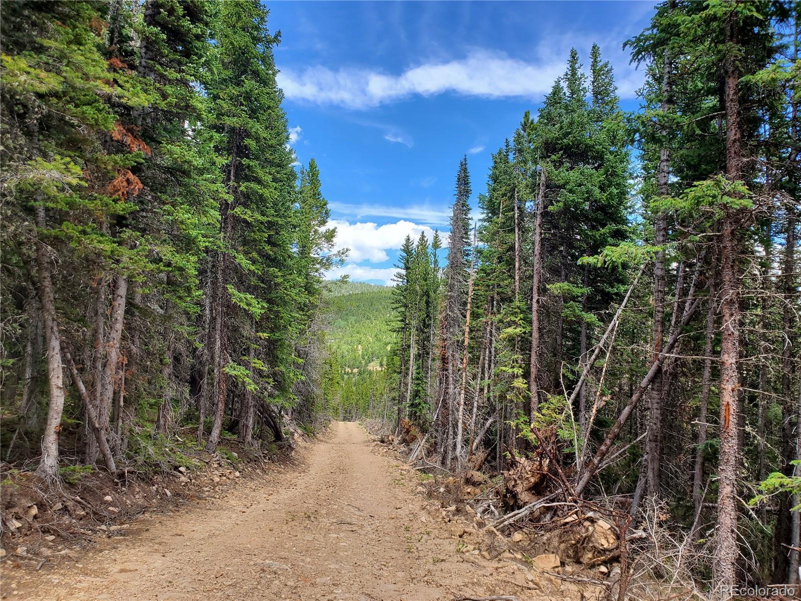 01 S Spring Gulch Road Idaho Springs CO 80452