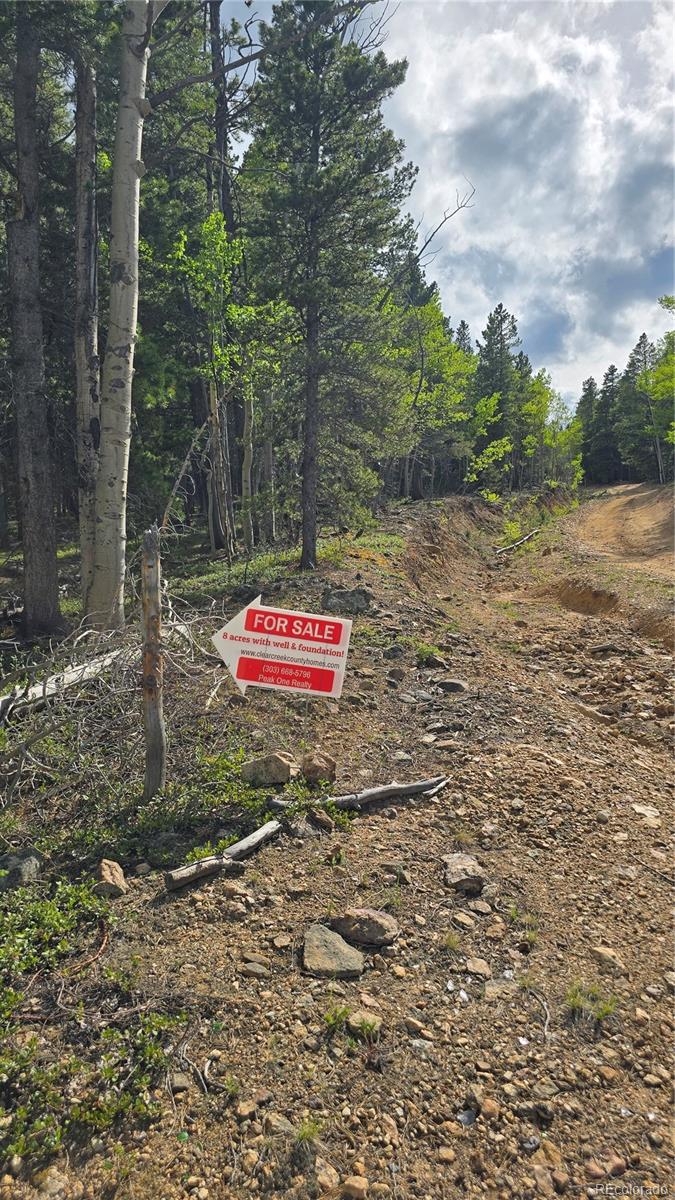 01 S Spring Gulch Road Idaho Springs CO 80452