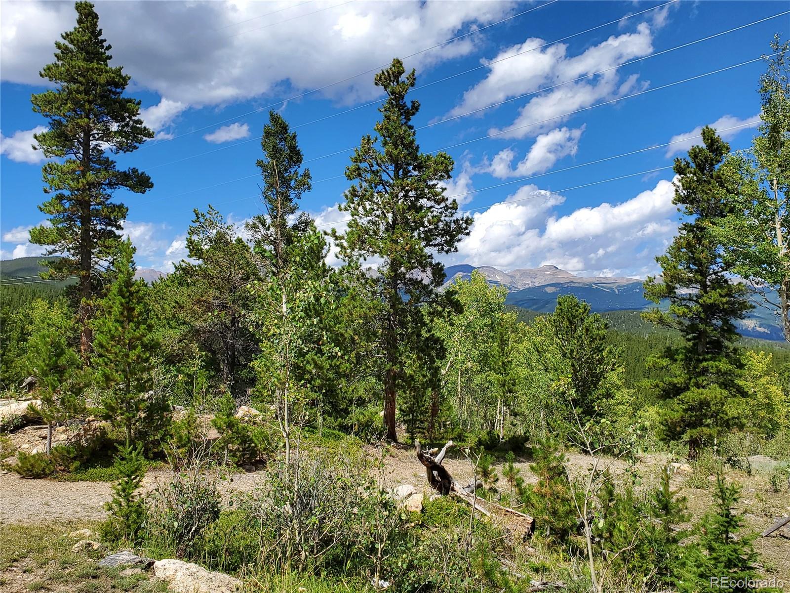 01 S Spring Gulch Road Idaho Springs CO 80452