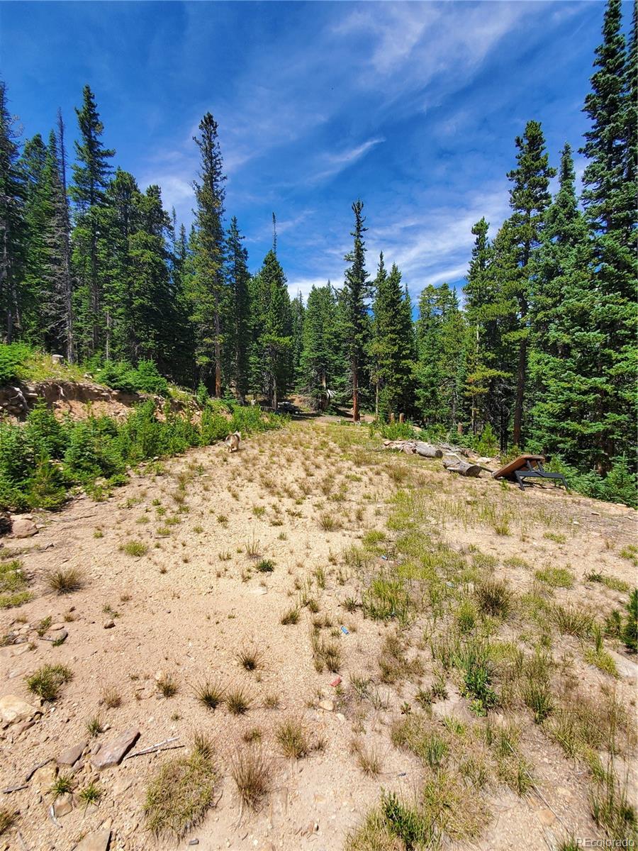 01 S Spring Gulch Road Idaho Springs CO 80452