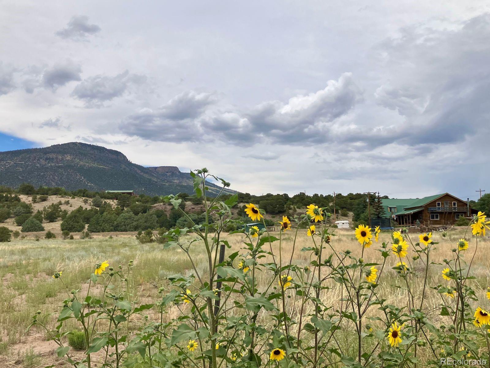 100 Mica Road South Fork CO 81154