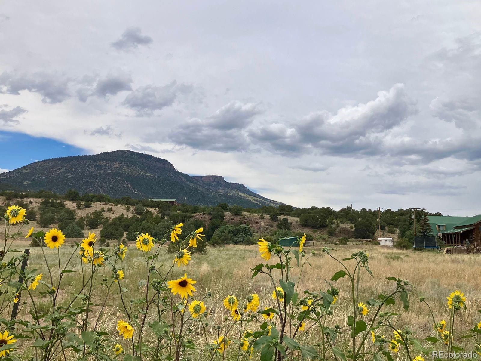 100 Mica Road South Fork CO 81154