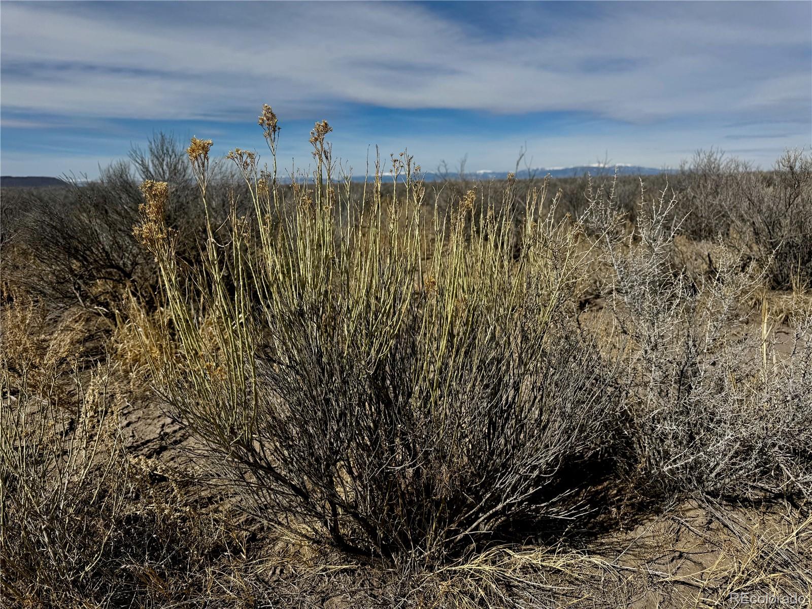 Lot 39 Big Bend Road Blanca CO 81123