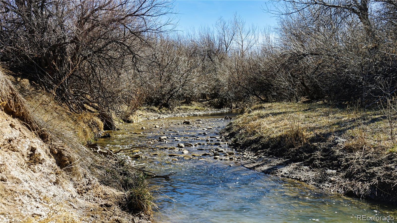 161 Colorado Land & Livestock Walsenburg CO 81089
