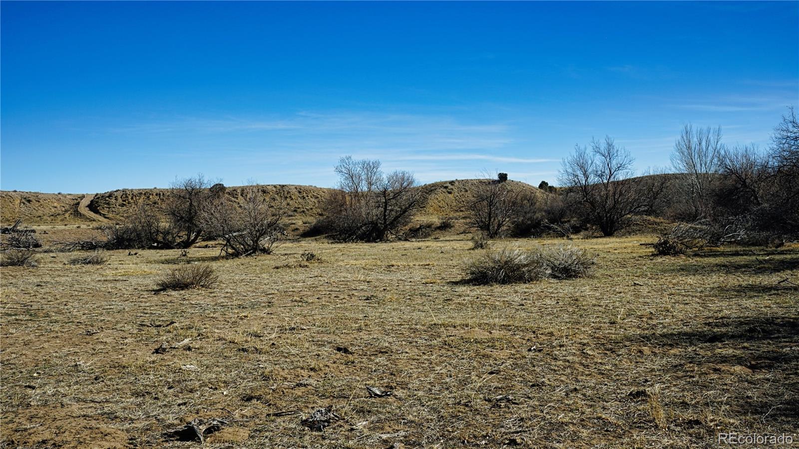 161 Colorado Land & Livestock Walsenburg CO 81089