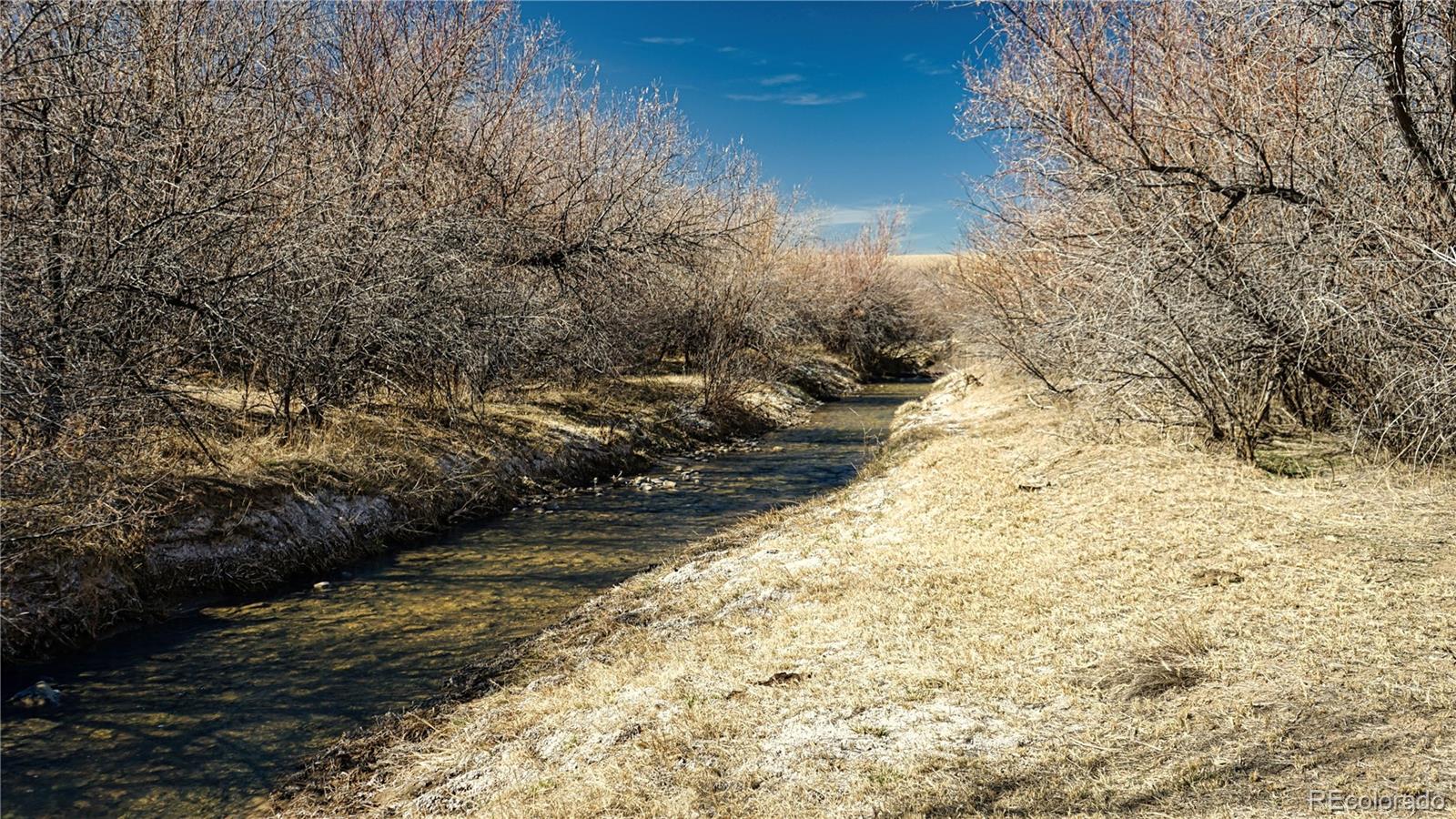 161 Colorado Land & Livestock Walsenburg CO 81089
