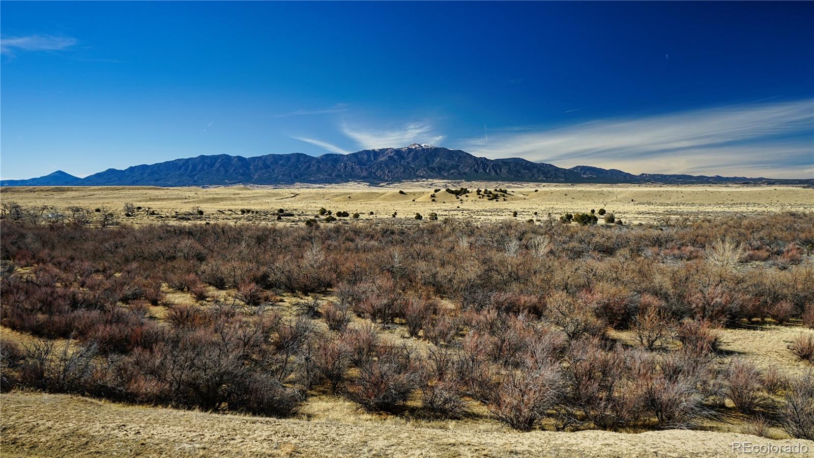 161 Colorado Land & Livestock Walsenburg CO 81089