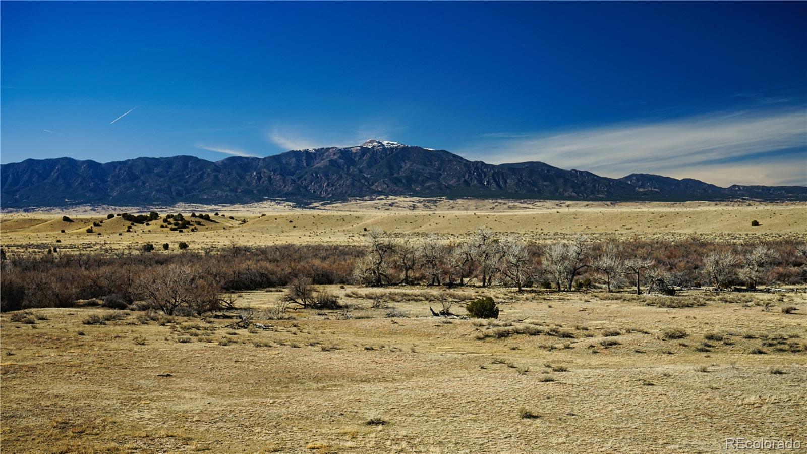 161 Colorado Land & Livestock Walsenburg CO 81089