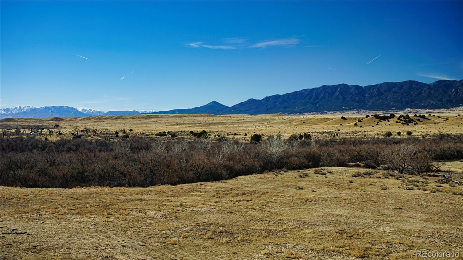 161 Colorado Land & Livestock Walsenburg CO 81089