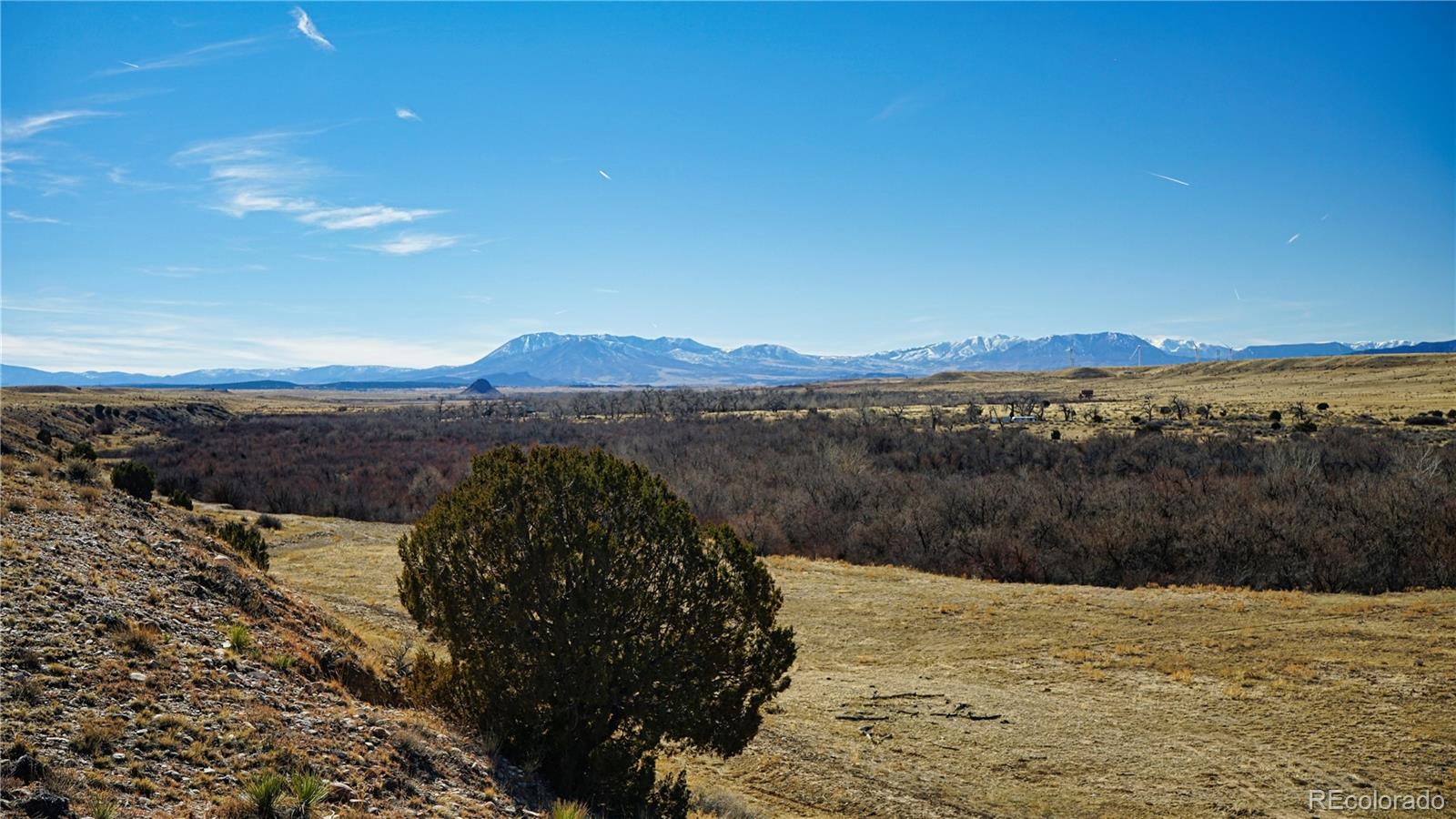 161 Colorado Land & Livestock Walsenburg CO 81089