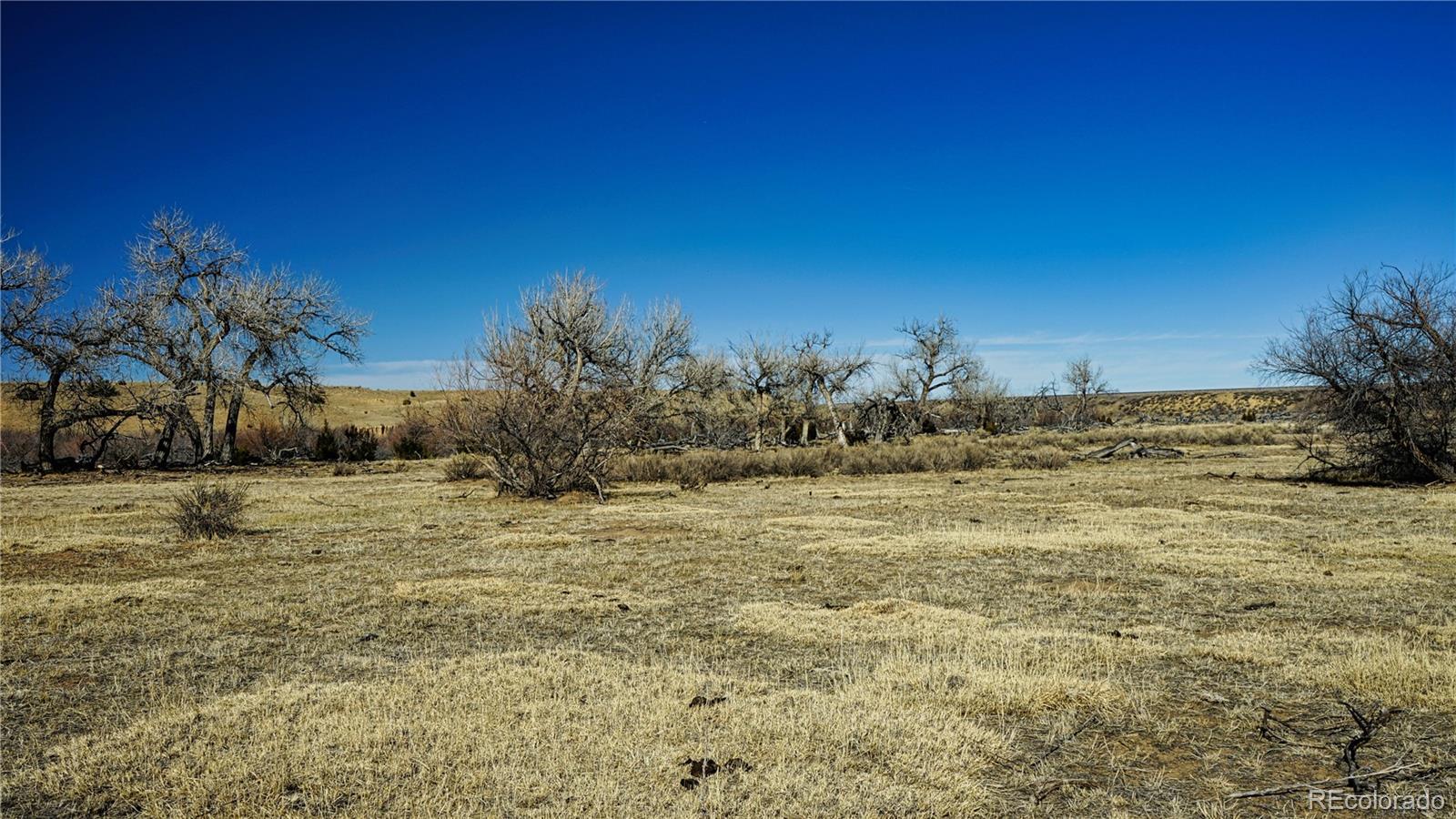 161 Colorado Land & Livestock Walsenburg CO 81089
