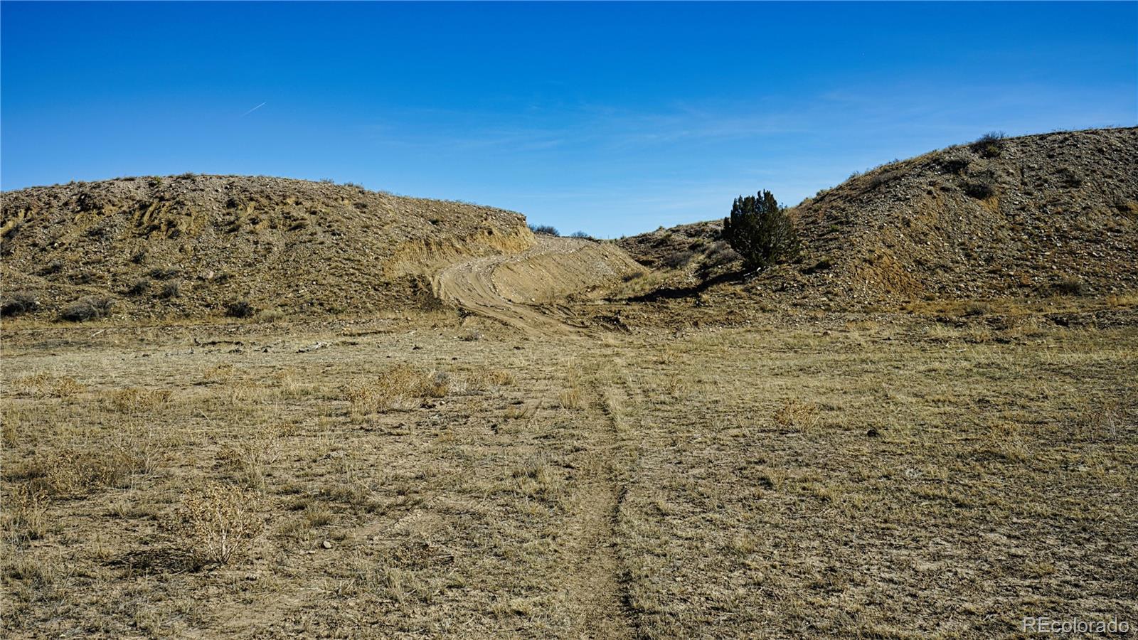 161 Colorado Land & Livestock Walsenburg CO 81089