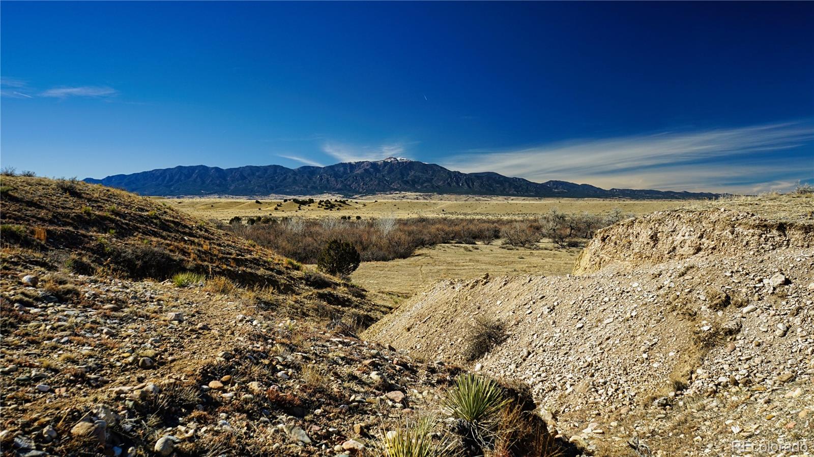 161 Colorado Land & Livestock Walsenburg CO 81089