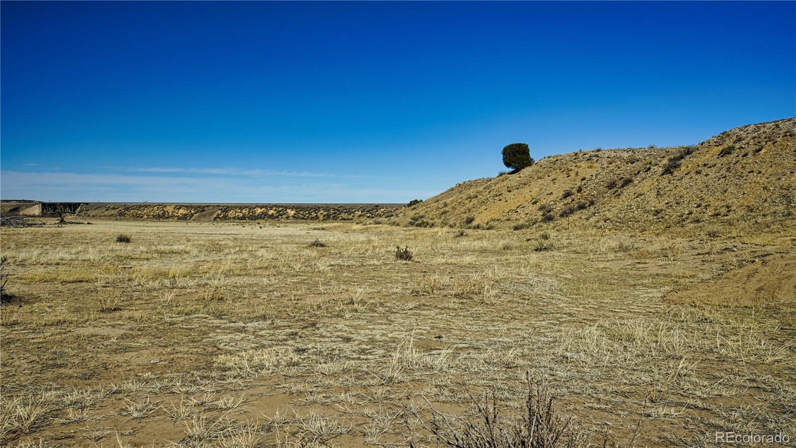 161 Colorado Land & Livestock Walsenburg CO 81089
