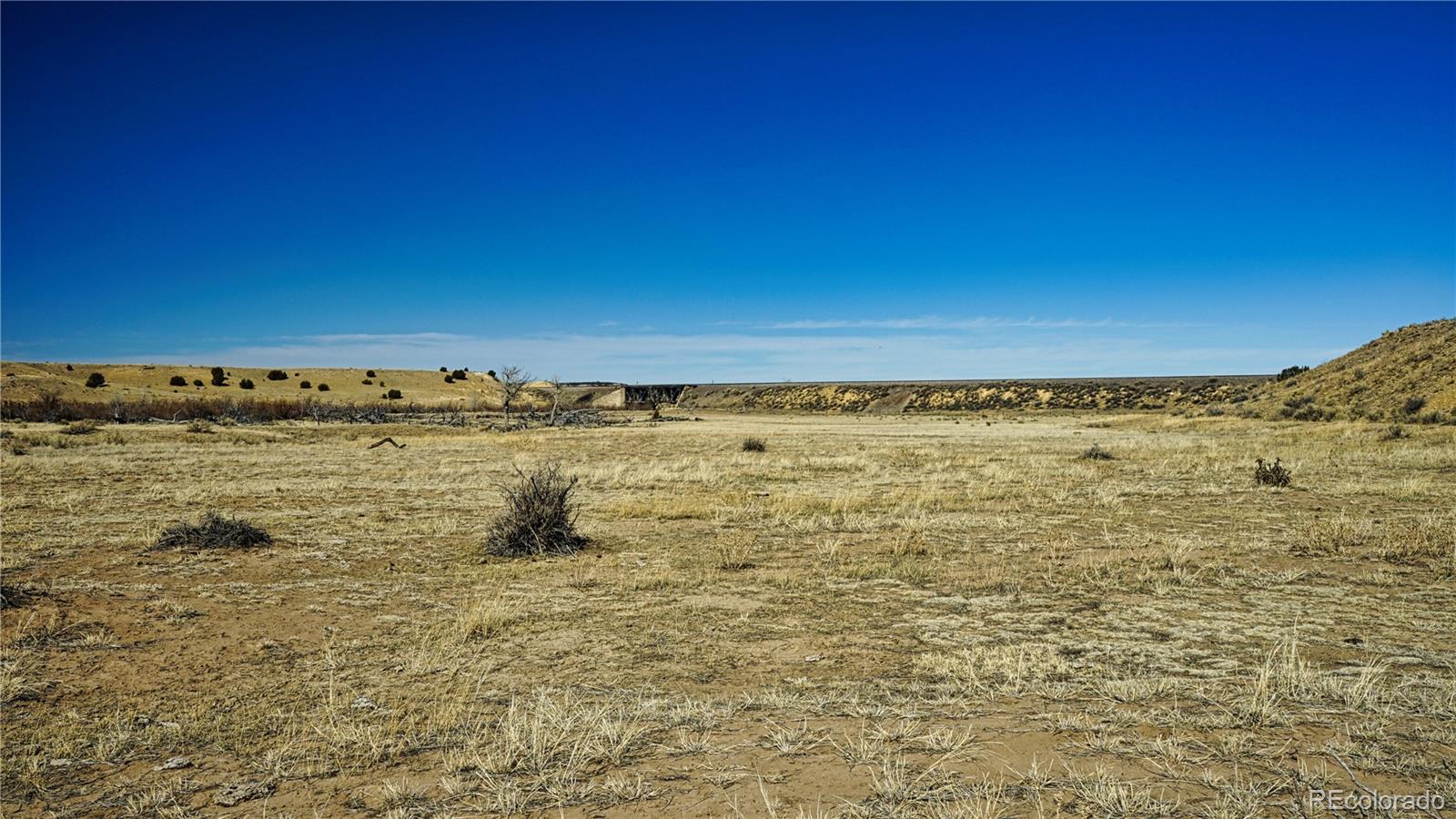 161 Colorado Land & Livestock Walsenburg CO 81089