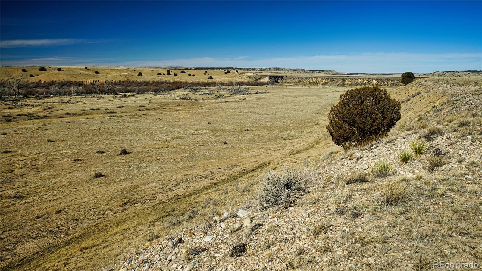 161 Colorado Land & Livestock Walsenburg CO 81089