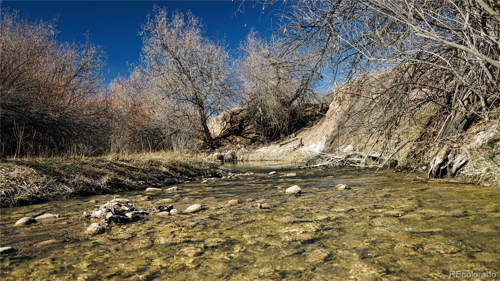 161 Colorado Land & Livestock Walsenburg CO 81089