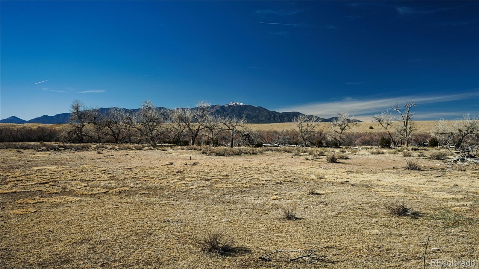 161 Colorado Land & Livestock Walsenburg CO 81089