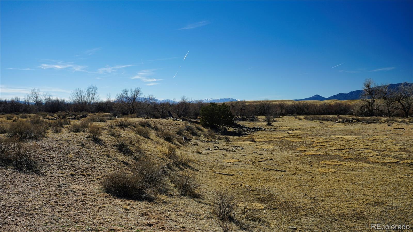 161 Colorado Land & Livestock Walsenburg CO 81089