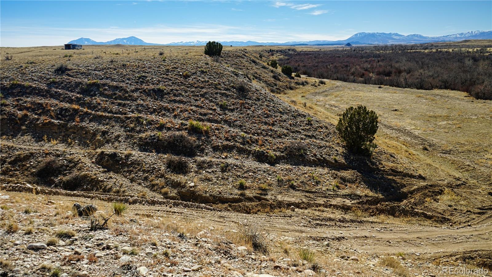 161 Colorado Land & Livestock Walsenburg CO 81089