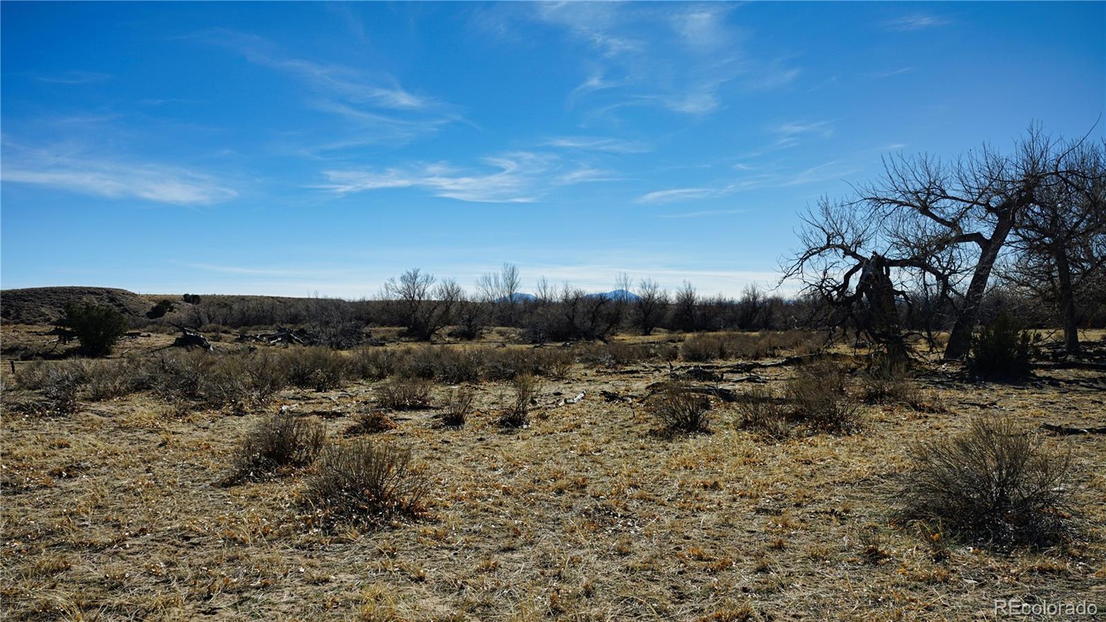161 Colorado Land & Livestock Walsenburg CO 81089