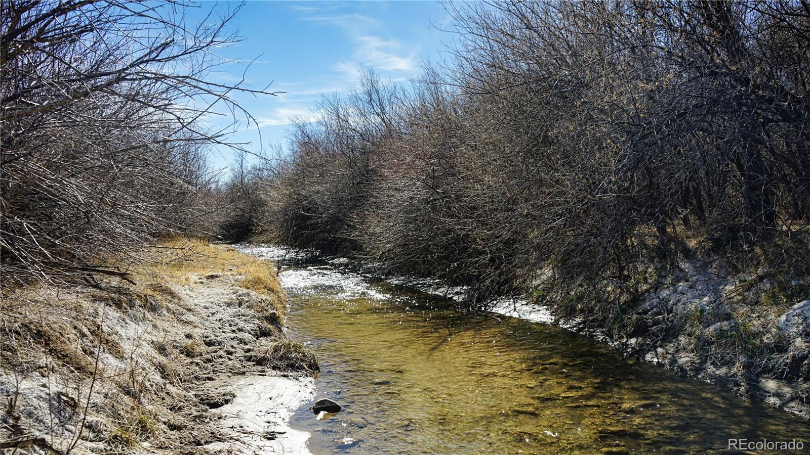 161 Colorado Land & Livestock Walsenburg CO 81089