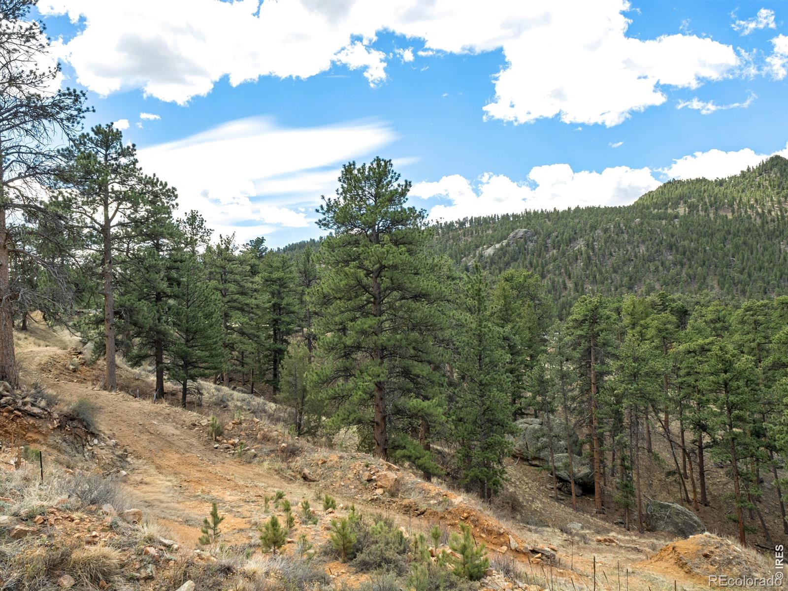 825 Castle Mountain Road Estes Park CO 80517