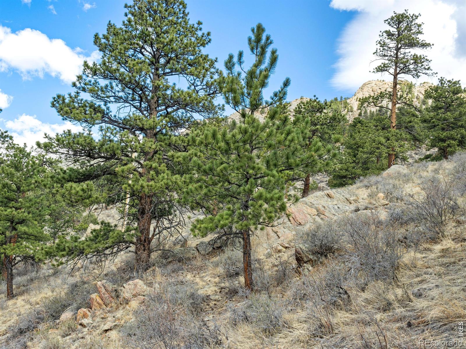 825 Castle Mountain Road Estes Park CO 80517