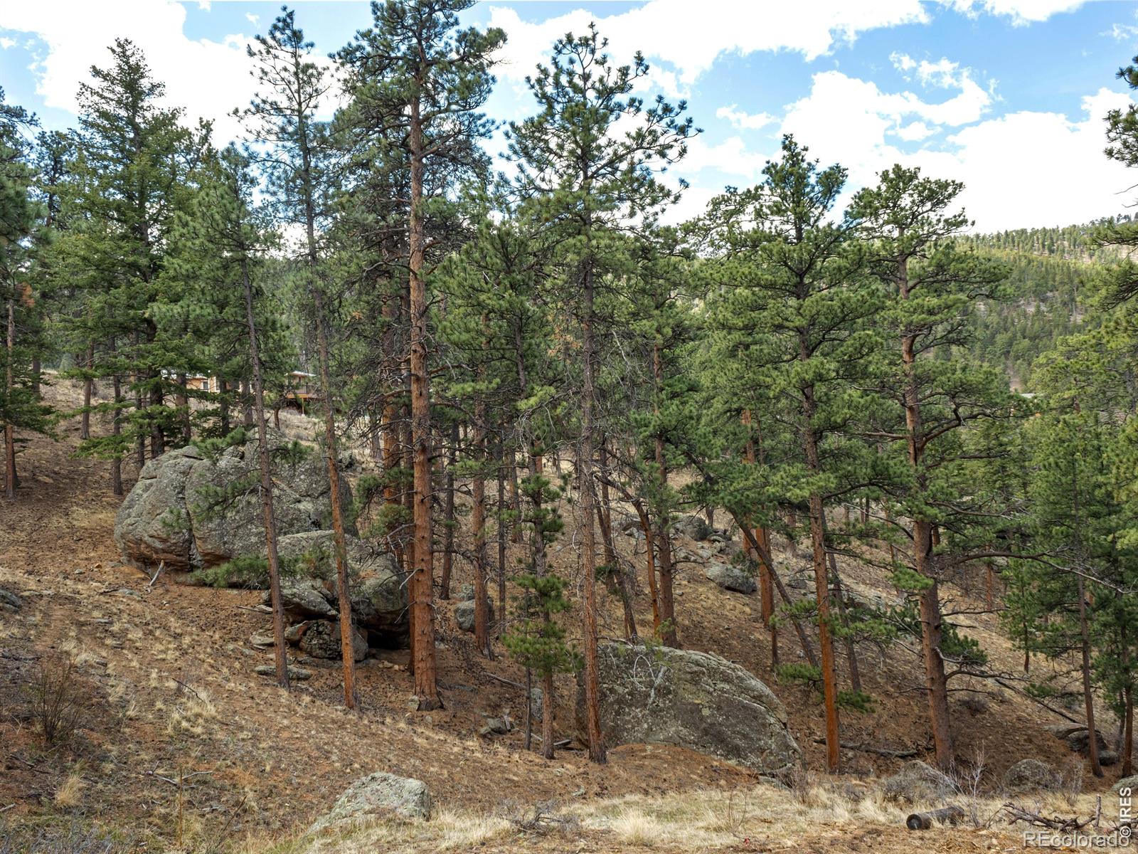 825 Castle Mountain Road Estes Park CO 80517