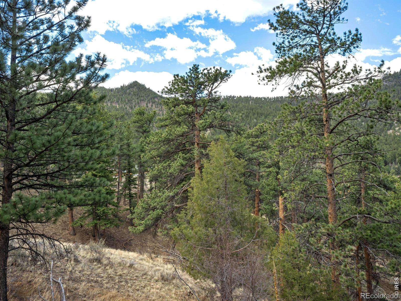 825 Castle Mountain Road Estes Park CO 80517