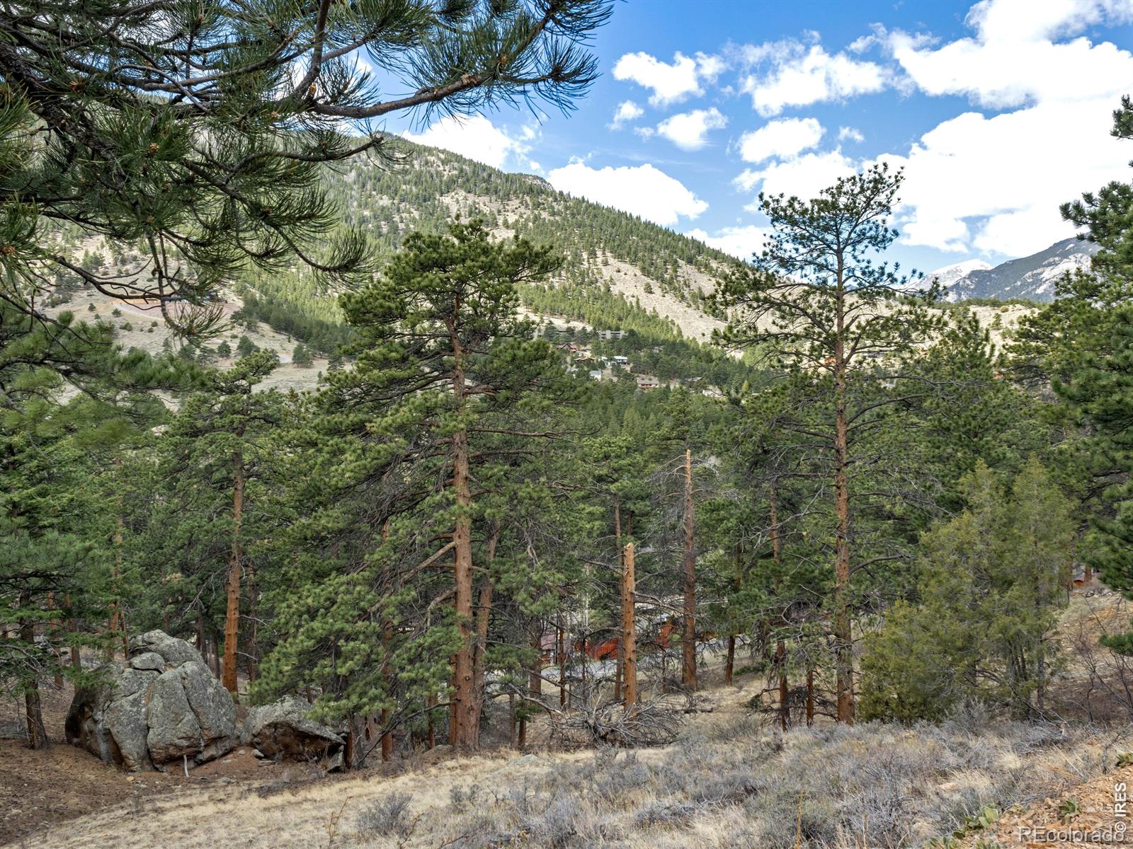 825 Castle Mountain Road Estes Park CO 80517