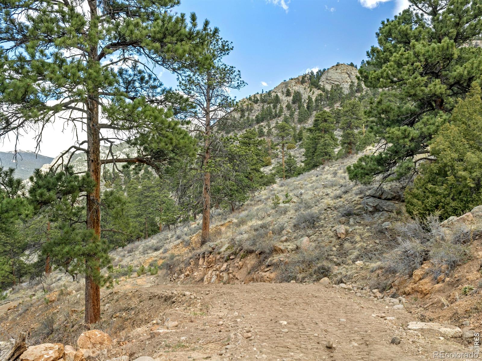 825 Castle Mountain Road Estes Park CO 80517