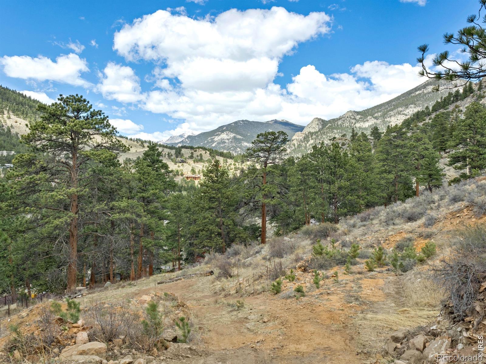 825 Castle Mountain Road Estes Park CO 80517