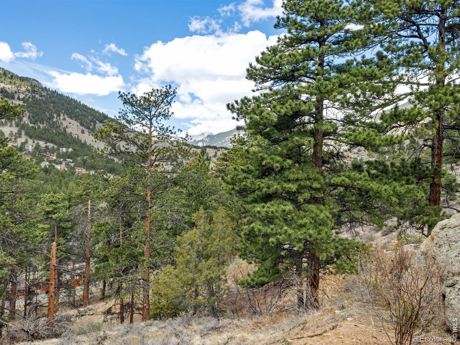 825 Castle Mountain Road Estes Park CO 80517