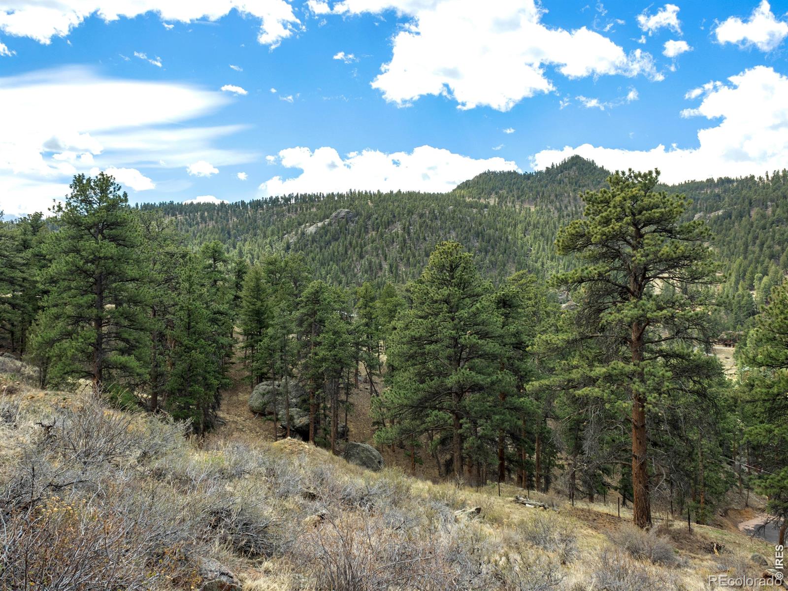 825 Castle Mountain Road Estes Park CO 80517