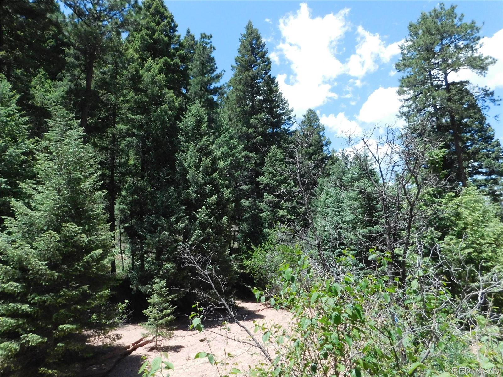 13175 Spruce Creek Circle Larkspur CO 80118