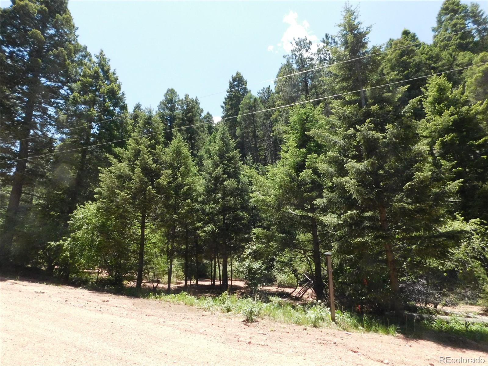 13175 Spruce Creek Circle Larkspur CO 80118